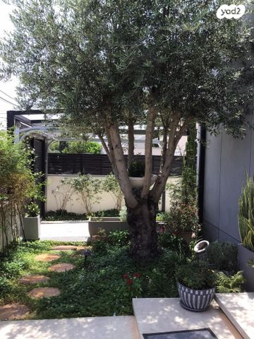 דו משפחתי, שבזי, שבזי, כפר סבא