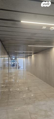 משרדים, שושנה דמארי, משכנות האומנים, קרית מוצקין