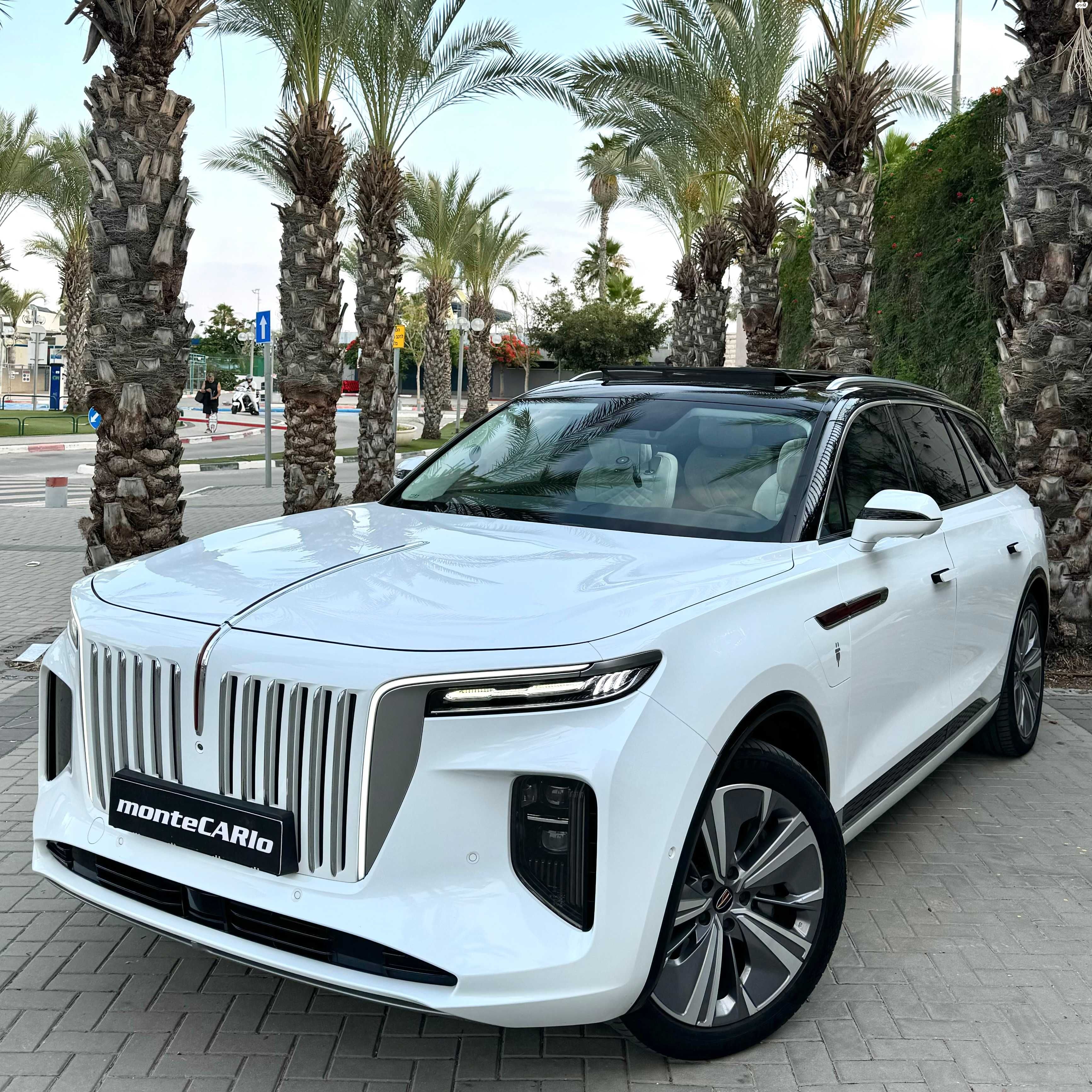 מודעת רכב הונגצ'י E-HS9