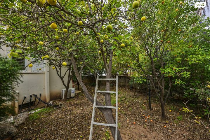 בית פרטי/ קוטג', דרור 4, נווה עמית, רחובות