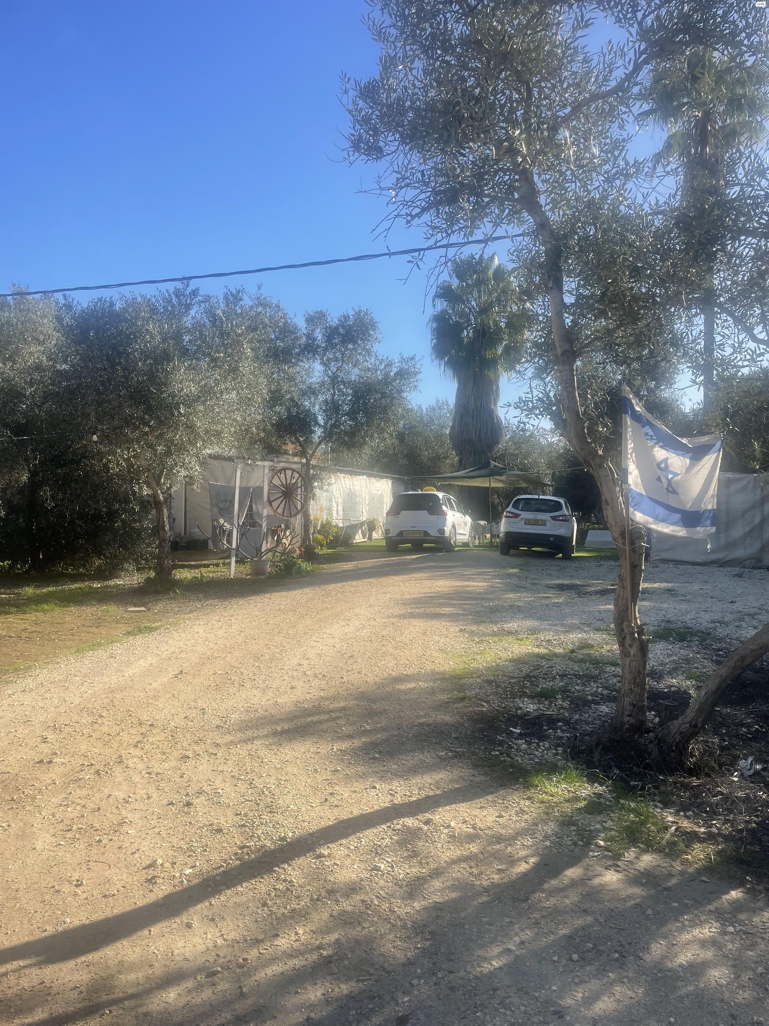הכנרת 1