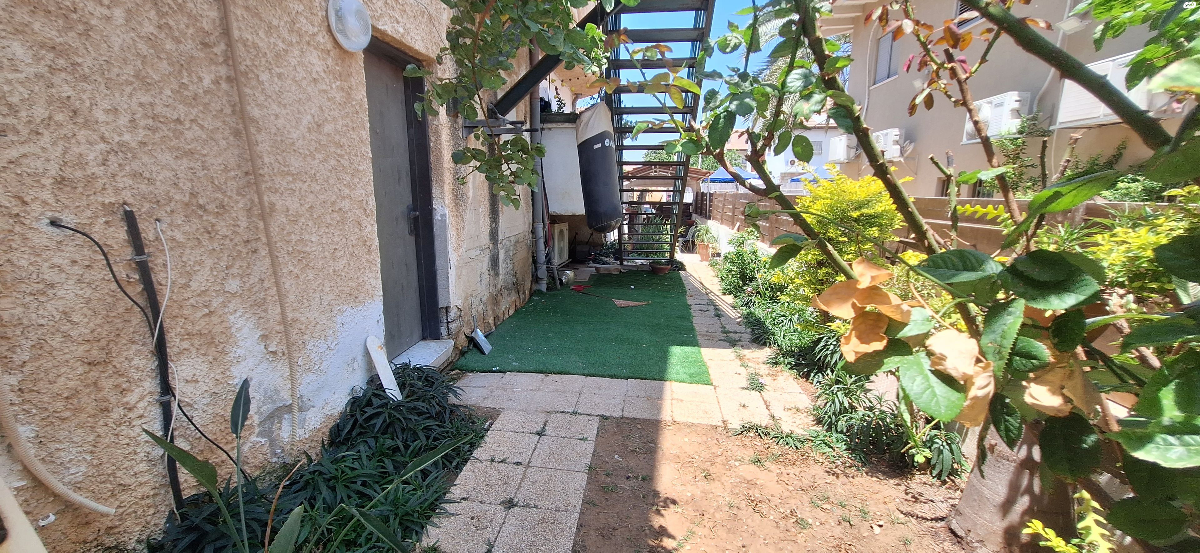 הזית 31