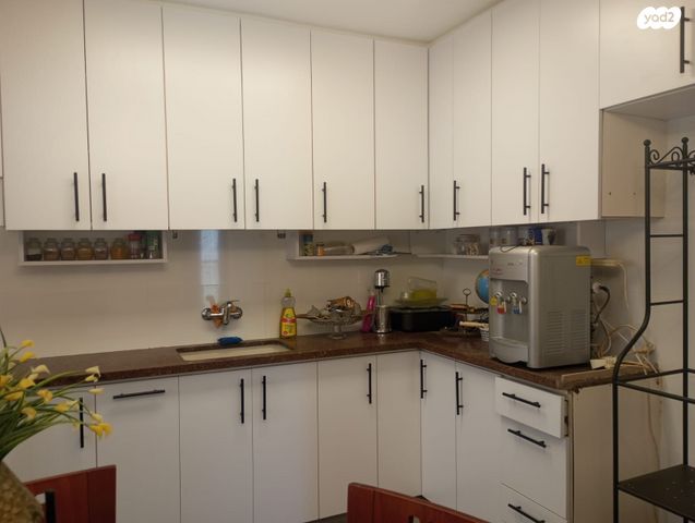 יחיאל מיכל פינס 