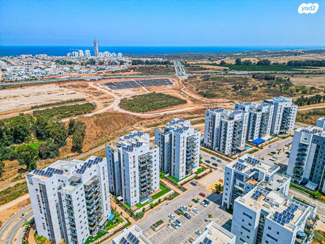 דירה, אשקלון