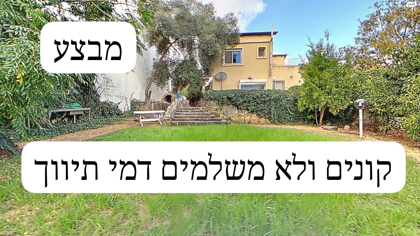 רותם 