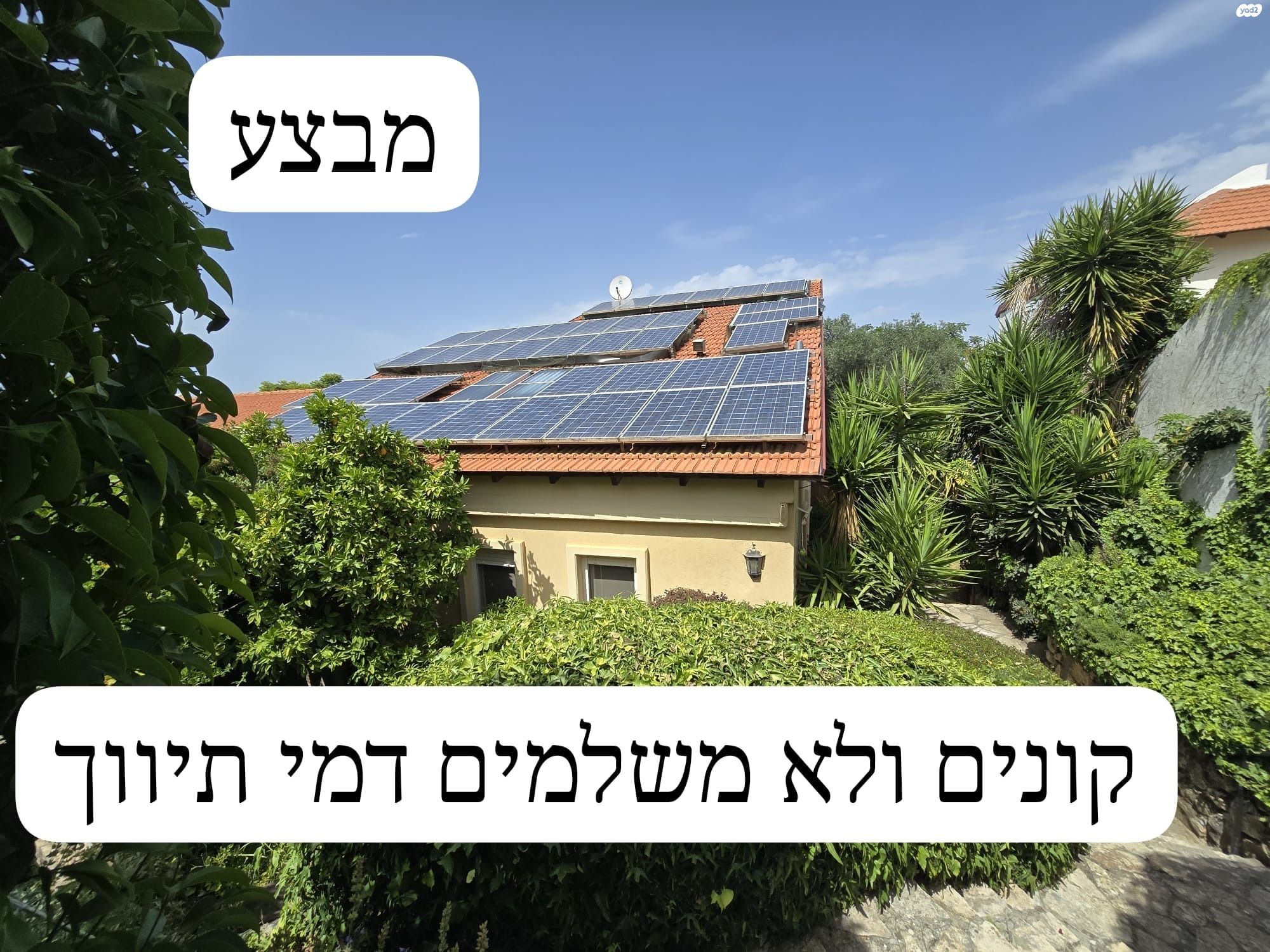 רותם 