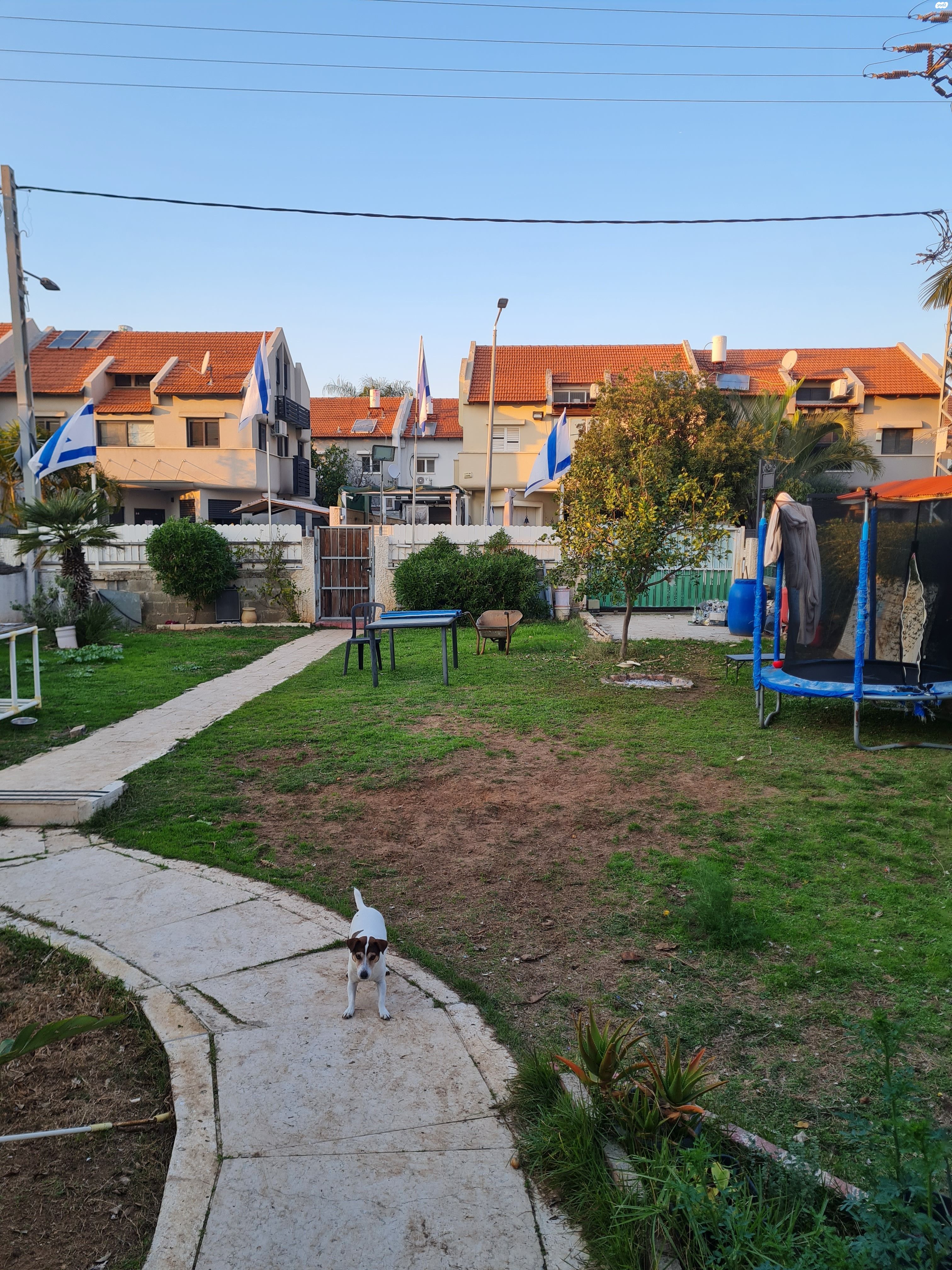 גבעת אוויה