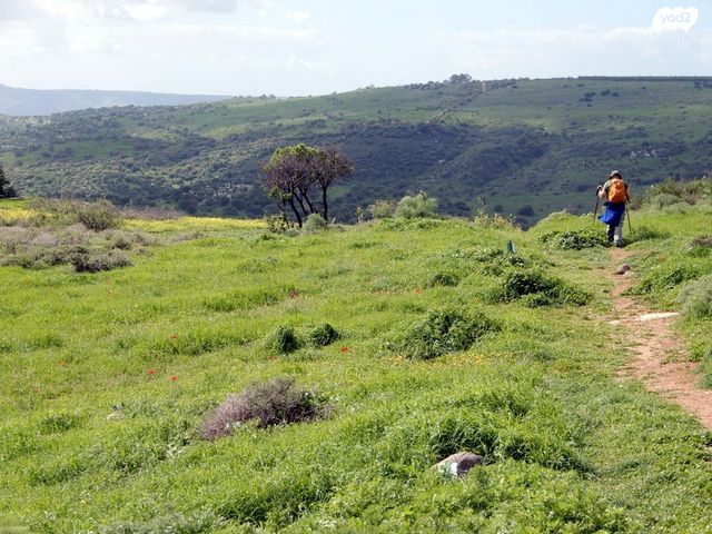 משק חקלאי/ נחלה