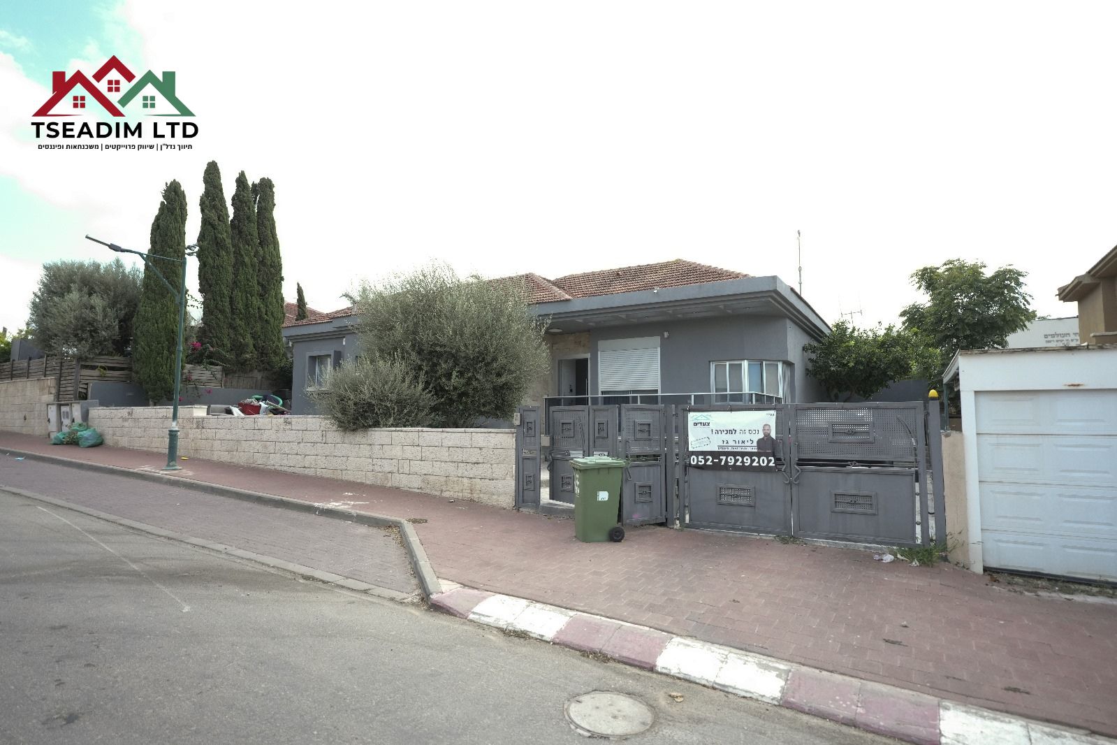 הגפן 