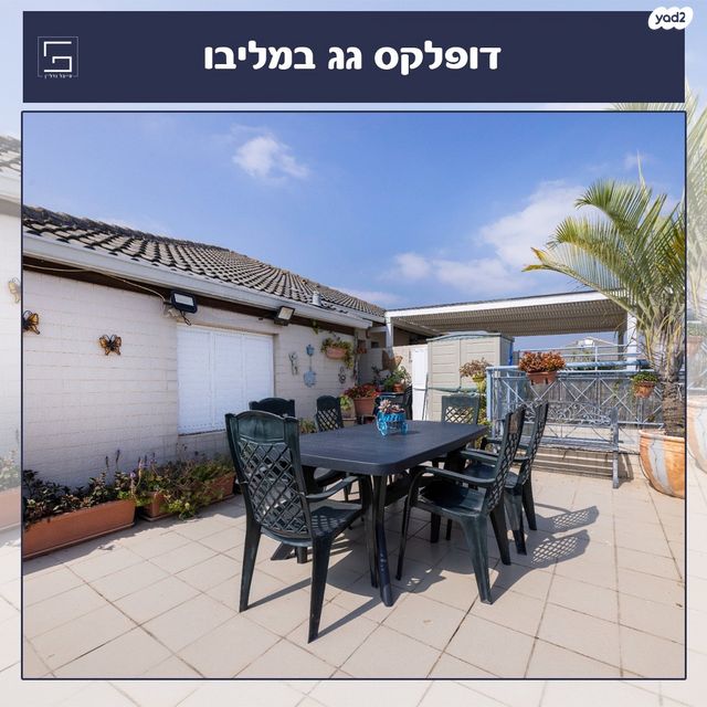 דופלקס, שמורת מליבו, נס ציונה