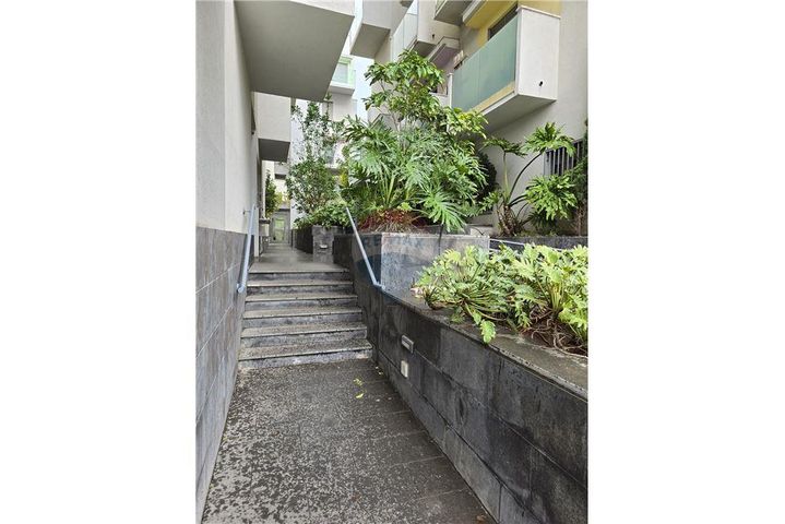 דירת גן, ציהתל"י 14, צהלון, שיכוני חסכון, תל אביב יפו