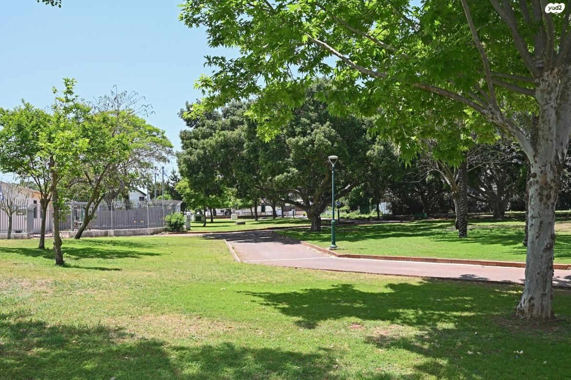 המצדים 