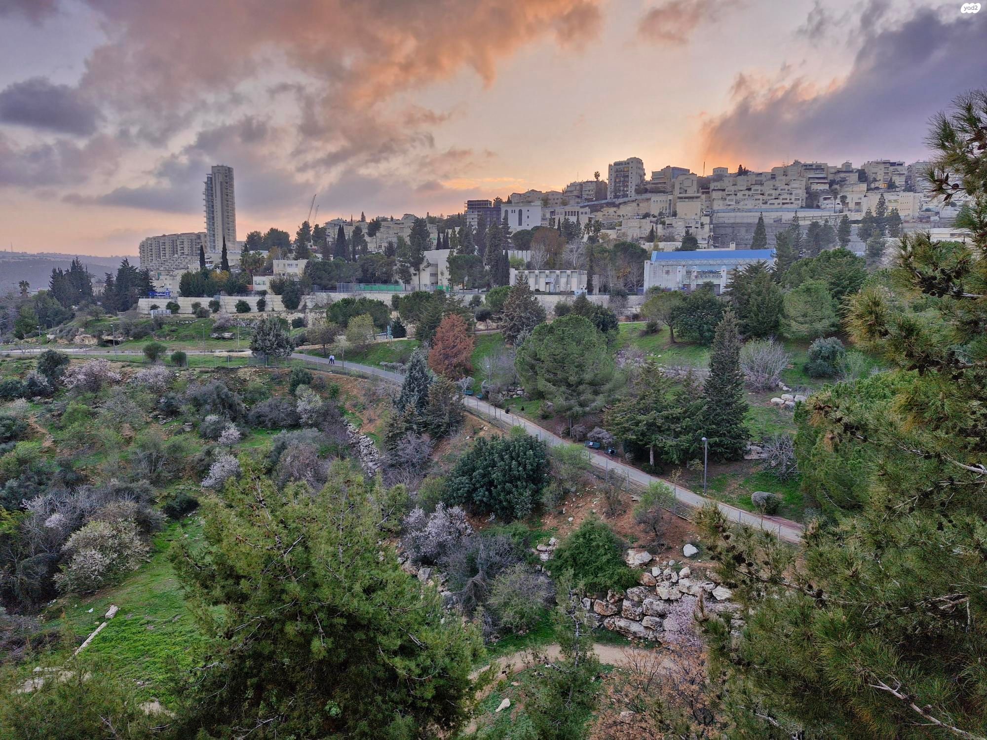 דירה