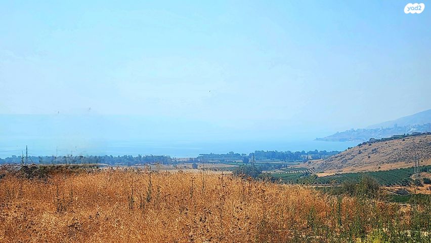 מגרשים