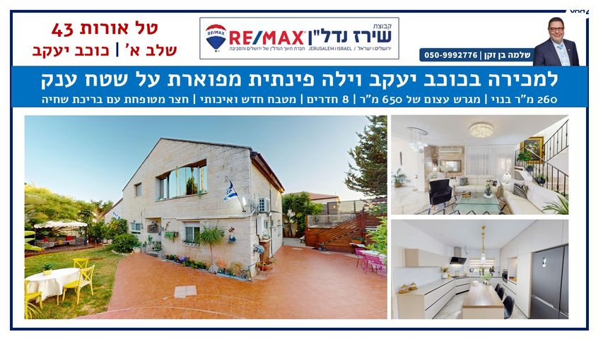 טל אורות 43