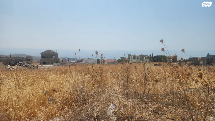 מגרשים
