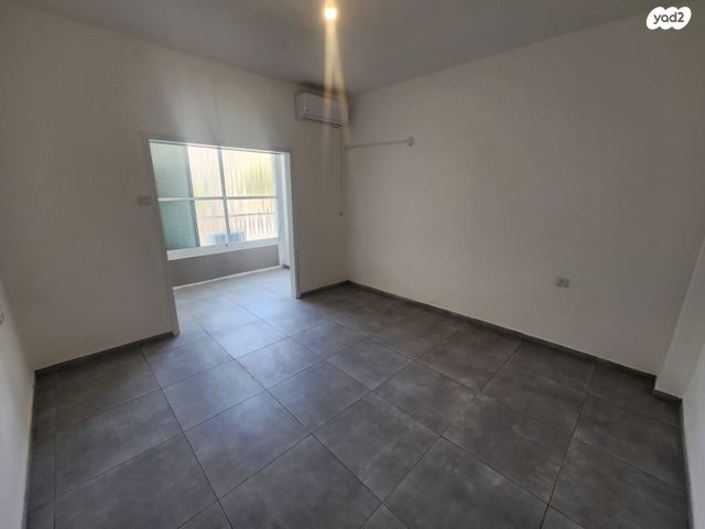 דוד וולפסון 