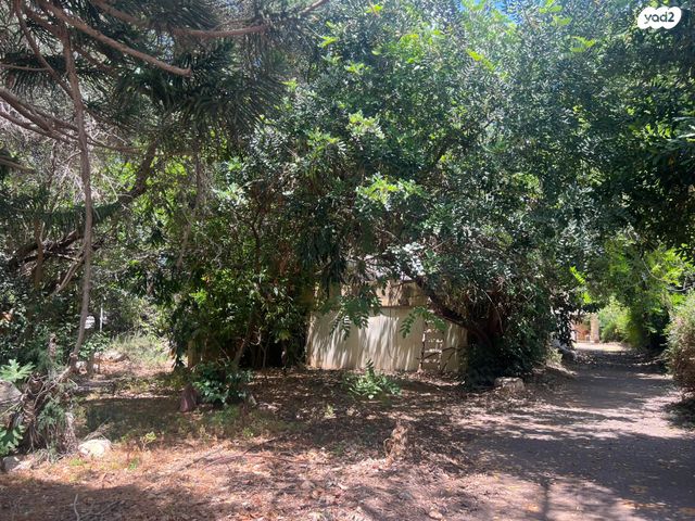 בית פרטי/ קוטג', דוד וולפסון, נווה איתמר, נתניה