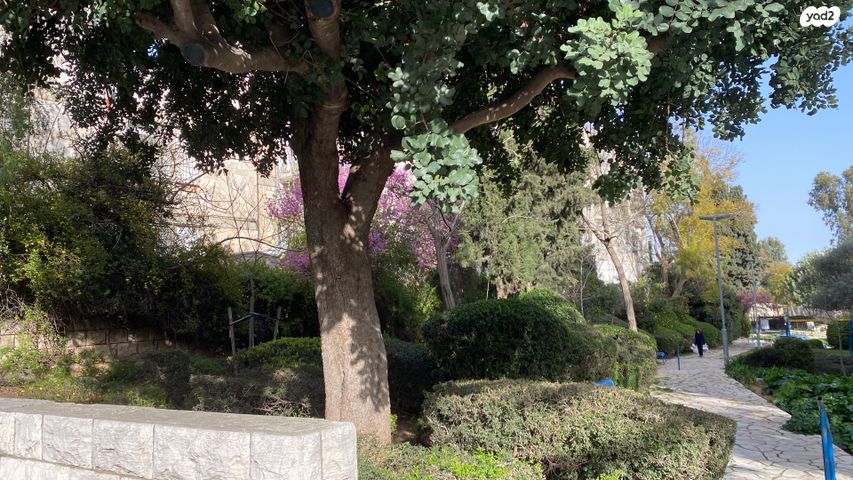 דרך עזה 