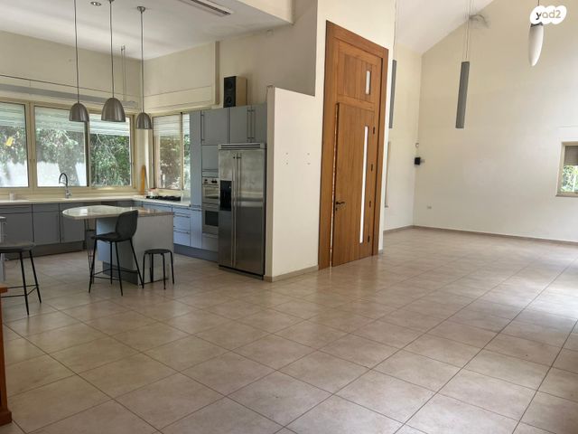 דוד וולפסון 