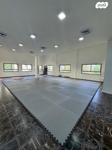 כללי, החלוץ, שוק תלפיות, חיפה