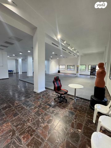 כללי, החלוץ, שוק תלפיות, חיפה