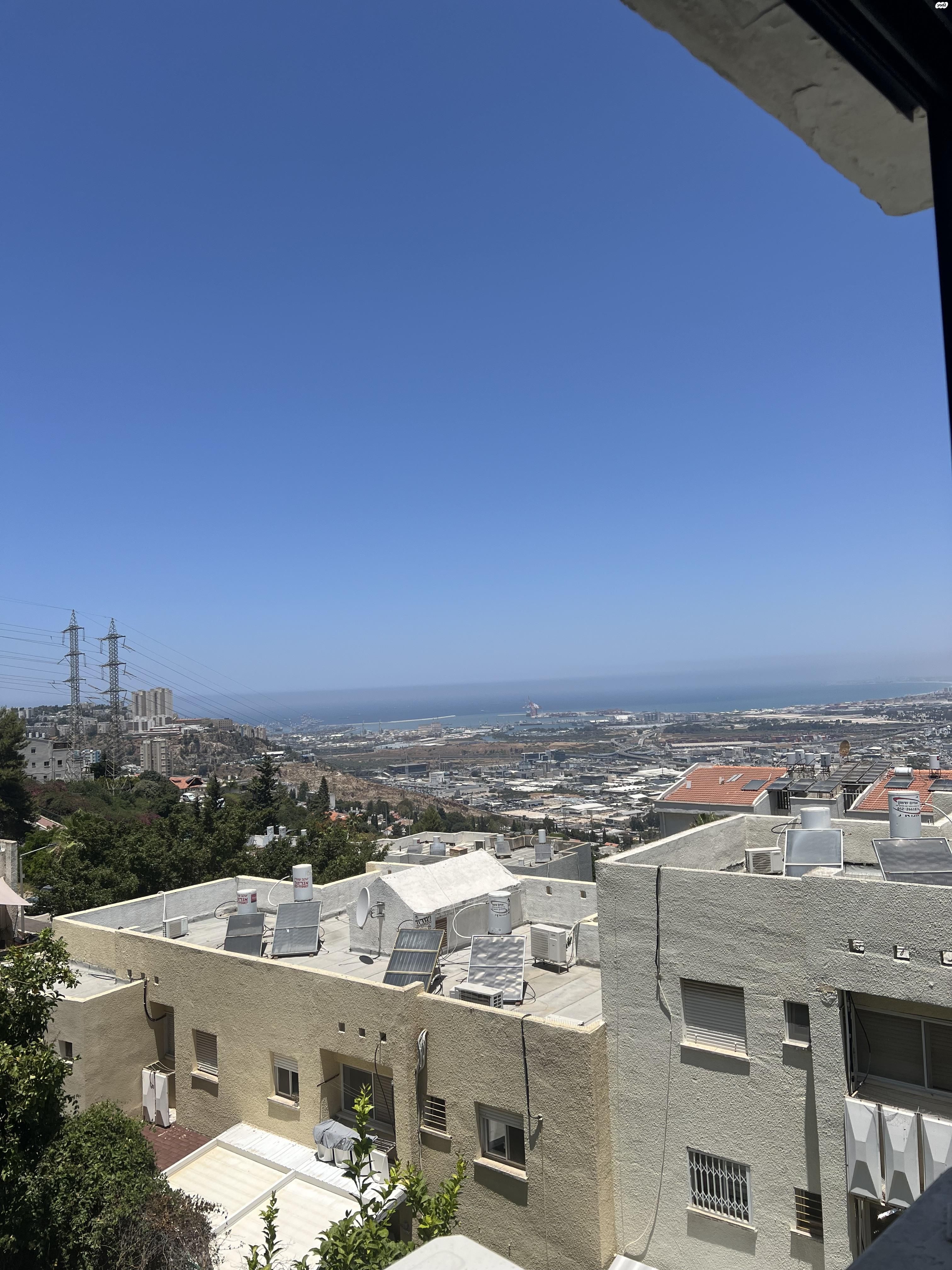 האלון 14