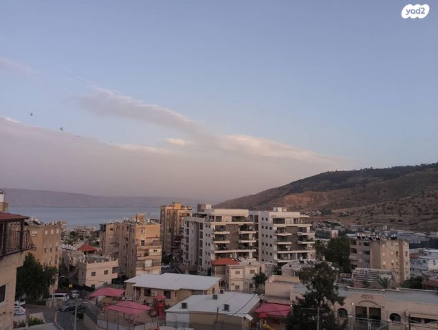 א.ז. ורנר 12