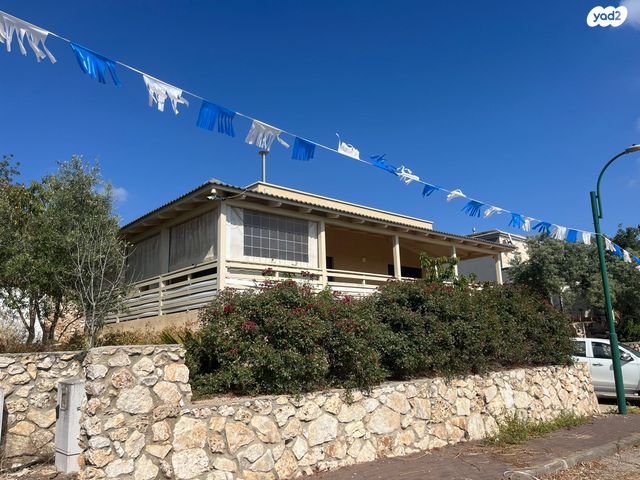 הזית 1