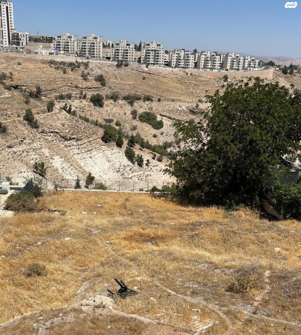 הגומא 12