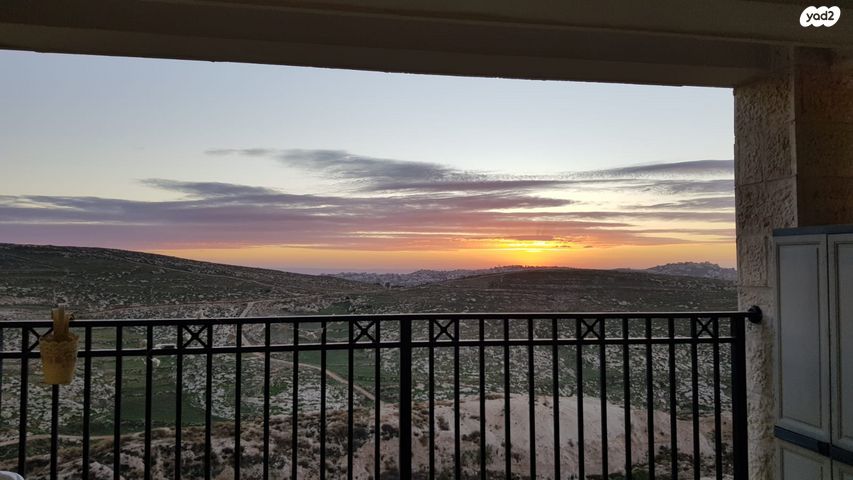 עמנואל זיסמן 21