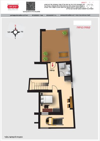 דירה, רות, חיפה