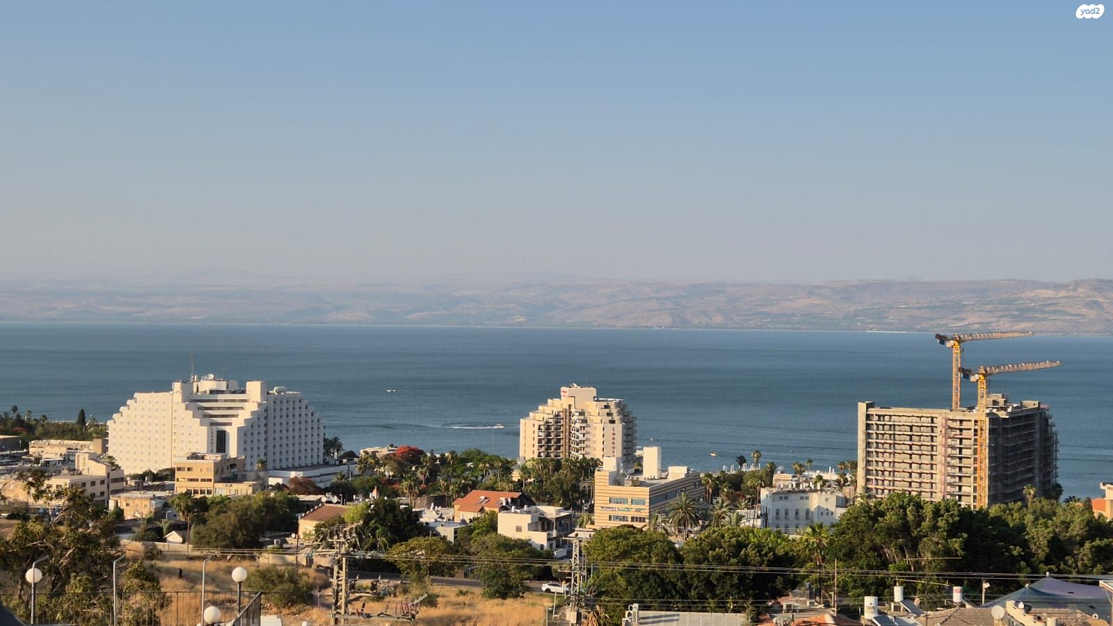 טולידאנו 