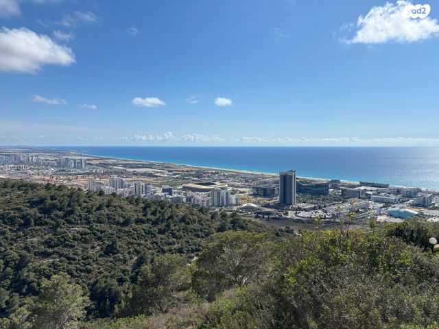 דירה, רות, חיפה