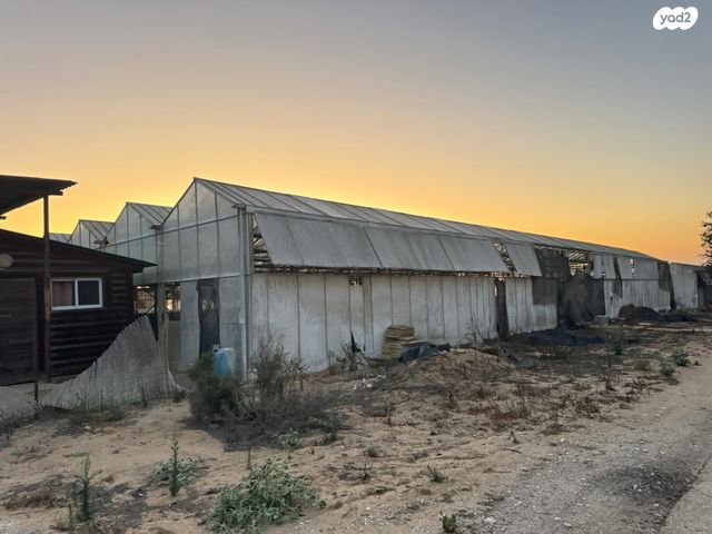 משק חקלאי/ נחלה, שדה ניצן