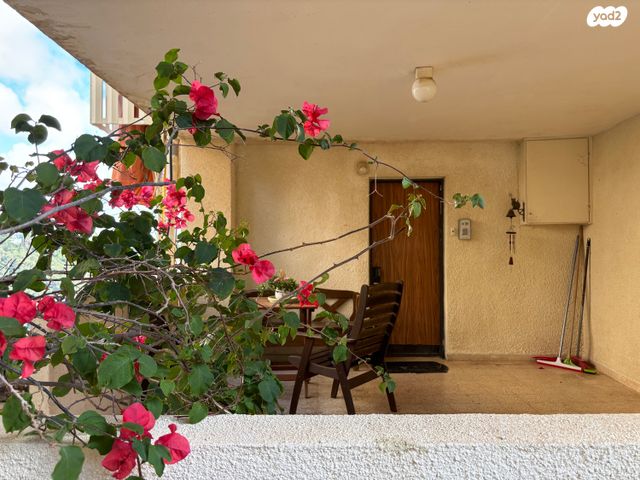 דירה, רות, חיפה