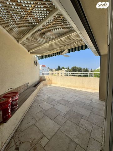 ויצמן 171