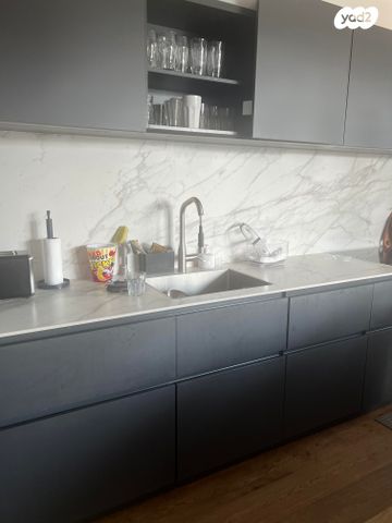 גג/ פנטהאוז, אלכסנדר פן, תל ברוך צפון, תל אביב יפו