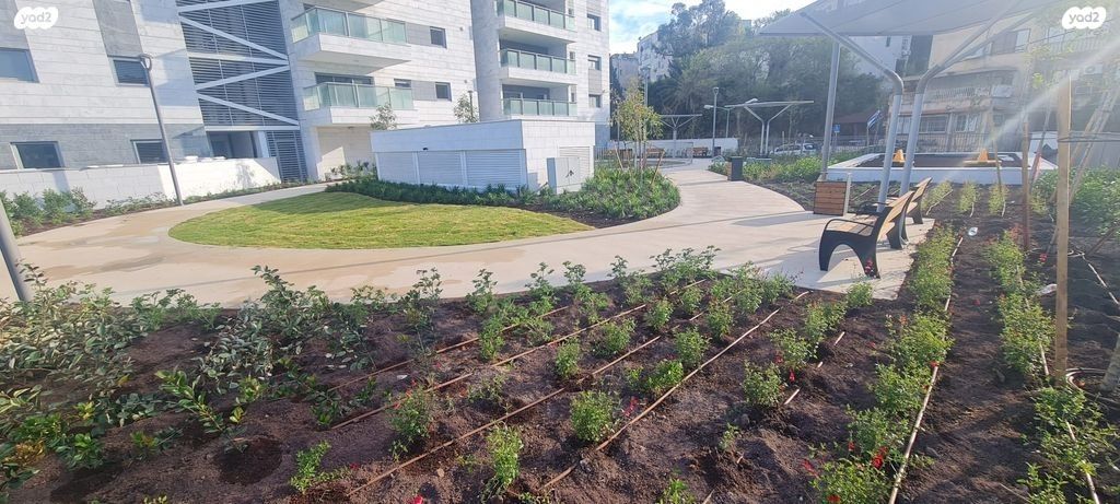 דירה, המלך אמציהו, נווה דוד, חיפה