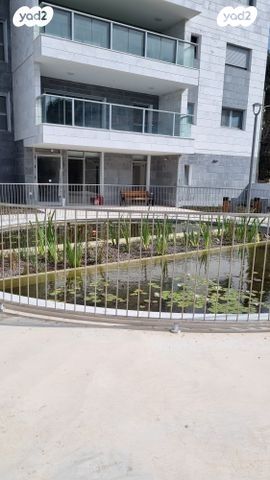 דירה, המלך אמציהו, נווה דוד, חיפה