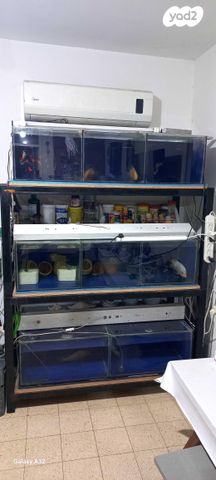 תמונת מודעה - חיות מחמד