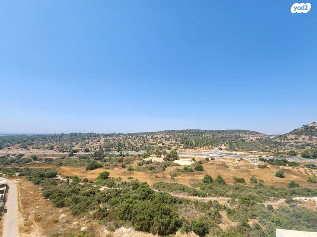שוהם 40