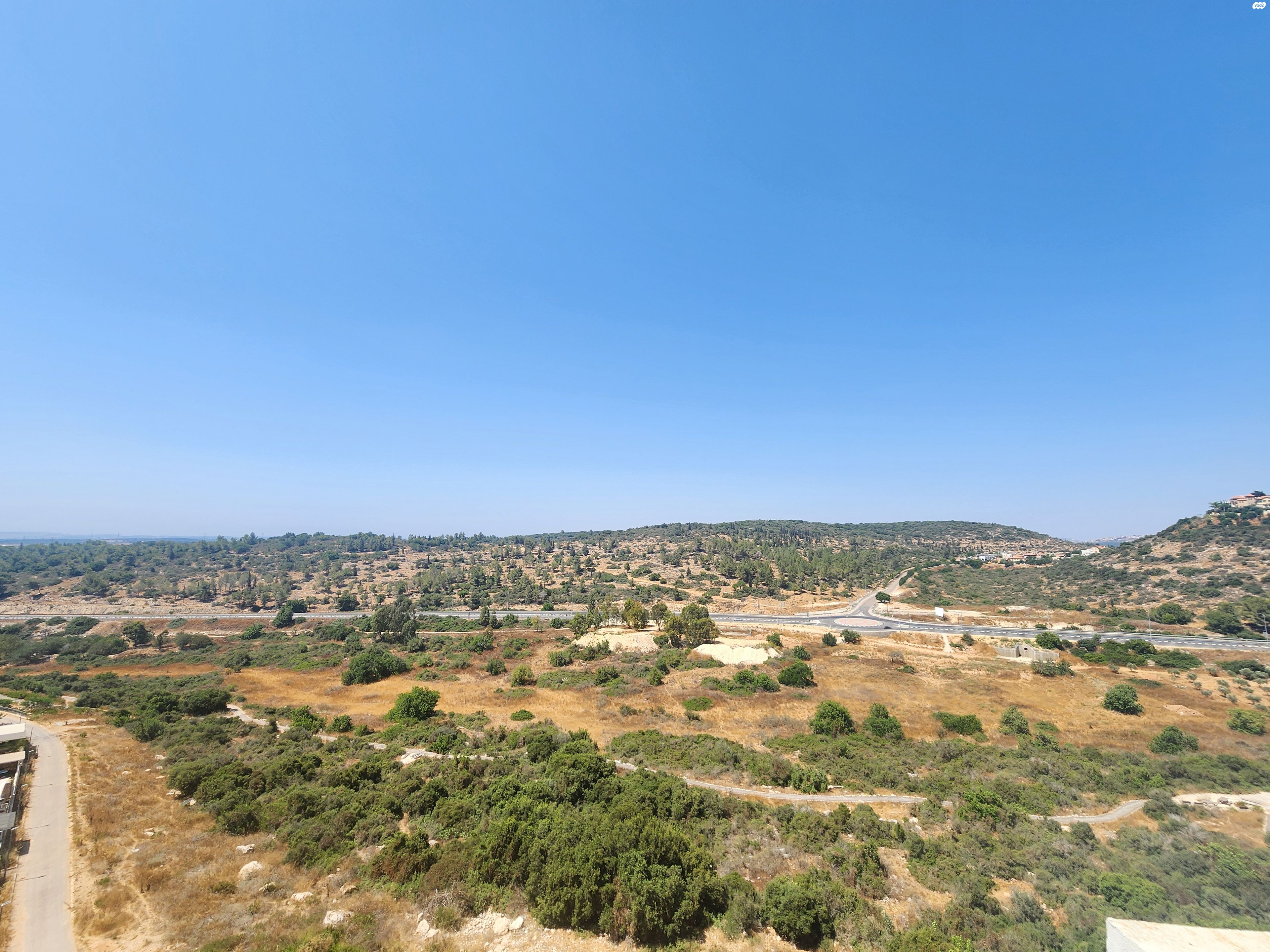 שוהם 40