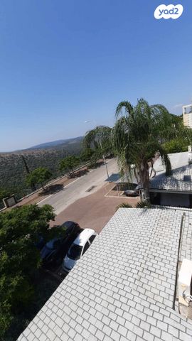 נשר 