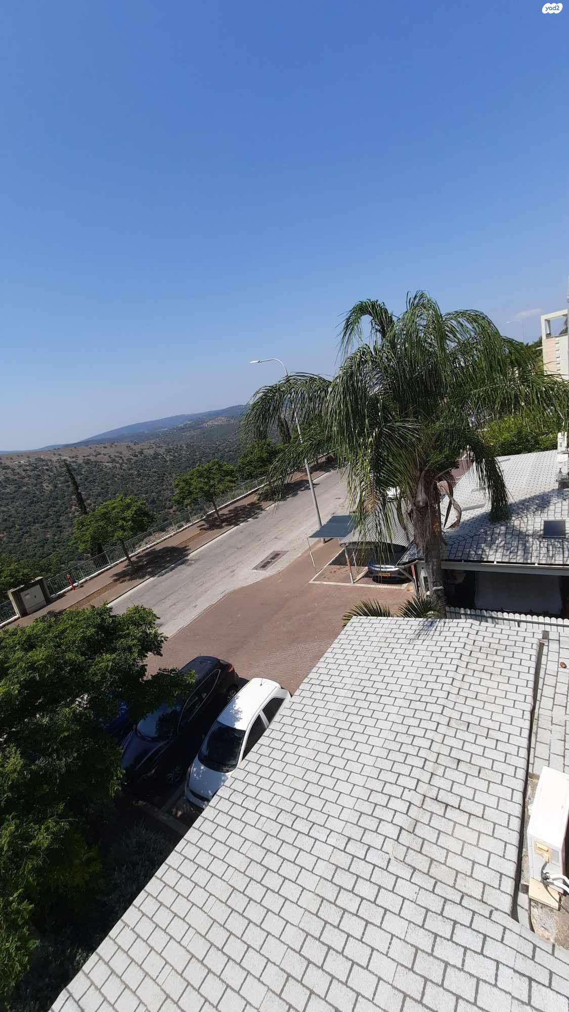 נשר 