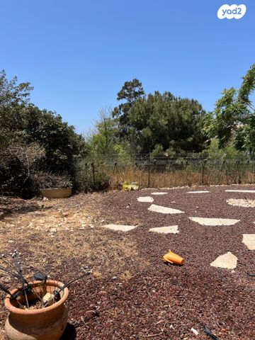 דירת גן, קאודרס, רמת שאול, חיפה