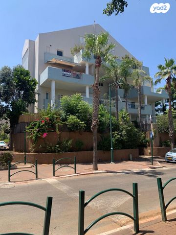 הסייפן 