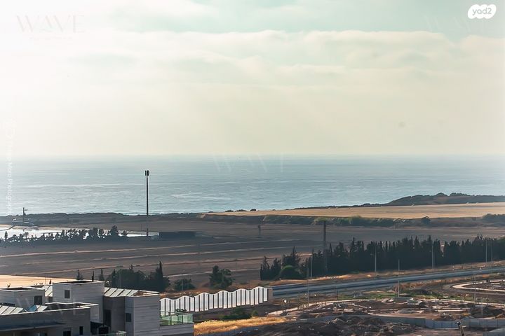 דירה, האנפה, החותרים, טירת כרמל