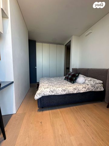 גג/ פנטהאוז, רמת אביב, תל אביב יפו