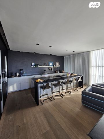 גג/ פנטהאוז, רמת אביב, תל אביב יפו